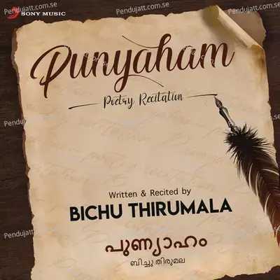 Punyaham  Pt  1 - Bichu Thirumala album cover 