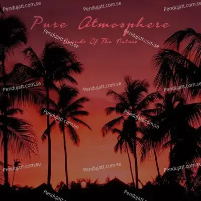 Pure Atmosphere - Sounds Of The Nature - Various Artists cover album