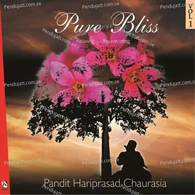 Raga Jaijaivanti - Alaap  Jod - Pandit Hariprasad Chaurasia album cover 