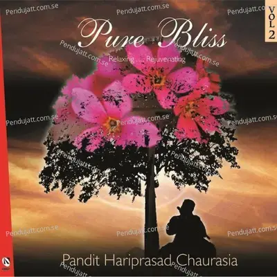 Mishra Pahadi Dhun - Dadra - Pandit Hariprasad Chaurasia album cover 