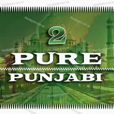 Pure Punjabi 2 - Various Artists cover album