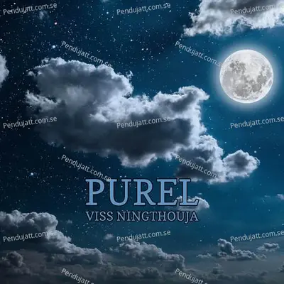 Purel - Viss Ningthouja album cover 