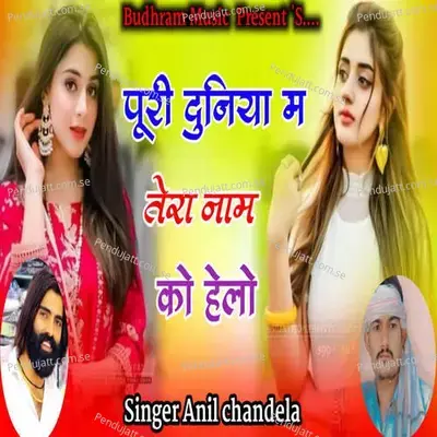 Puri Duniya Me Tera Naam Ko Helo - Anil Chandela album cover 