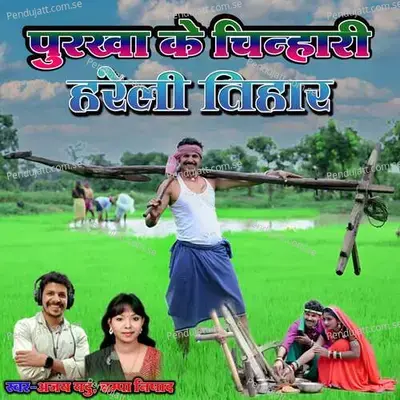 Purkha Ke Chinhari Hareli Tihar - Ajay Yadu album cover 