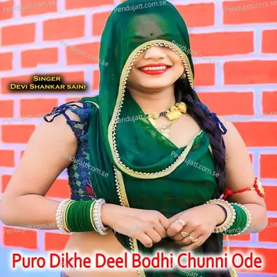 Puro Dikhe Deel Bodhi Chunni Ode - Devi Shankar Saini album cover 