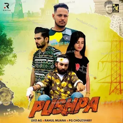 Pushpa - Bro AG album cover 