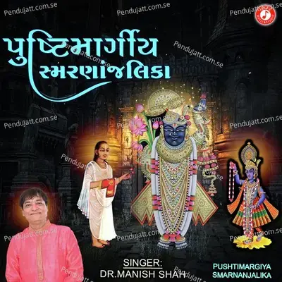 Govind Damodar Stuti - Dr. Manish Shah album cover 