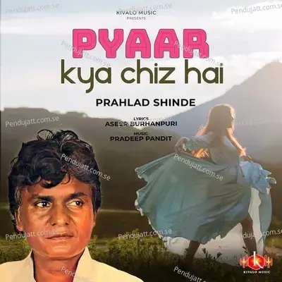 Pyaar Kya Chiz Hai - Prahlad Shinde album cover 