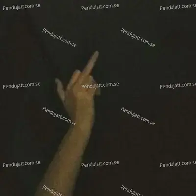 Pyaar Paap - Manu album cover 