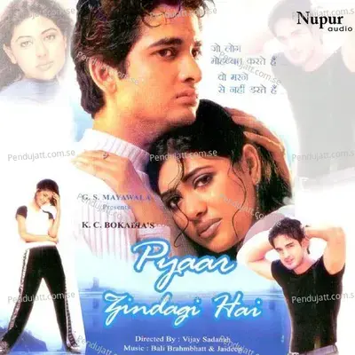 Pyar Zindagi Hai - Sonu Nigam album cover 