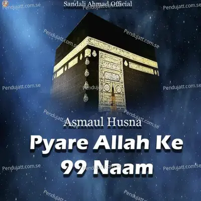 Pyaare Allah Ke 99 Naam - Shakil Ahmad album cover 