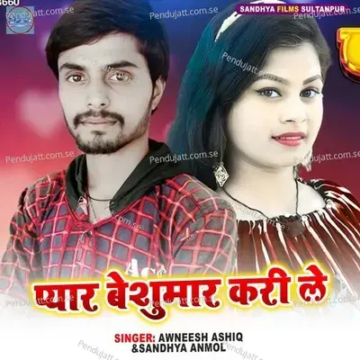 Pyar Beshumar Kari Le - Awneesh Ashiq album cover 