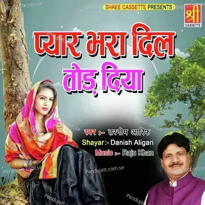 Sila Meri Waffaon Ka - Tasneem Arif album cover 