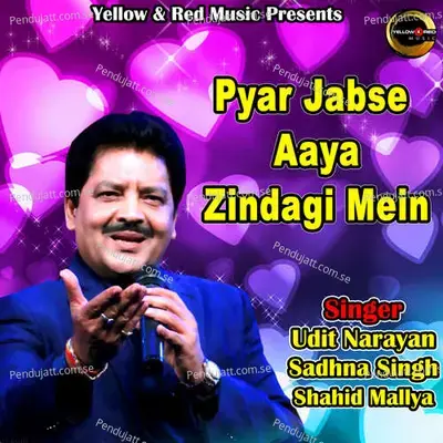 Pyar Jabse Aaya Zindagi Mein - Udit Narayan album cover 