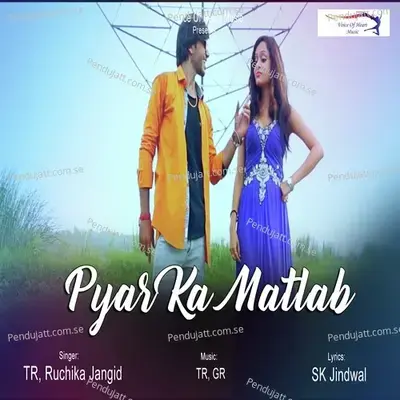 Pyar Ka Matlab - TR album cover 