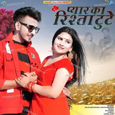 Pyar Ka Rishta Tute - Salim Shekhawas album cover 