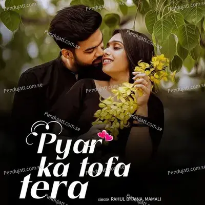Pyar Ka Tofa Tera - Rahul Bhaina album cover 