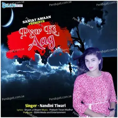 Pyar Ki Aag - Nandini Tiwari album cover 