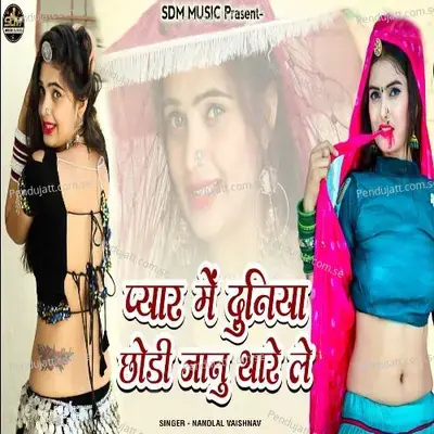 Pyar Me Duniya Chodi Jaanu Thare Le - Nandlal Vaishnav album cover 