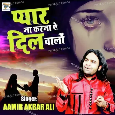 Pyar Na Karna Aye Dil Walo - Aamir Akbar Ali album cover 