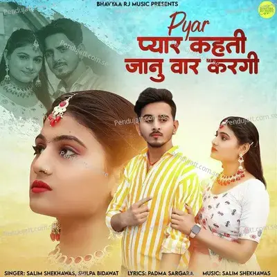Pyar Pyar Kahti Janu Vaar Kargi - Salim Shekhawas album cover 