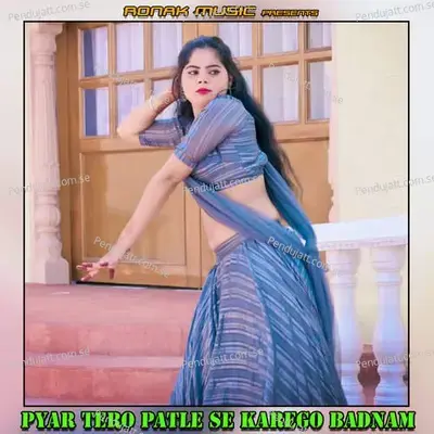 Pyar Tero Patle Se Karego Badnam - Lokesh Kumar album cover 