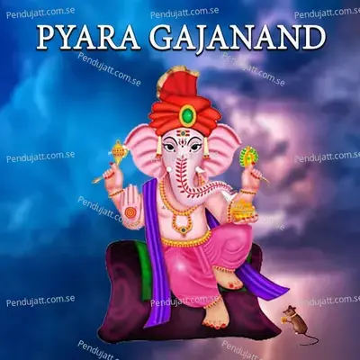 Pyara Gajanand - SANWAR MALI MALIPURA album cover 