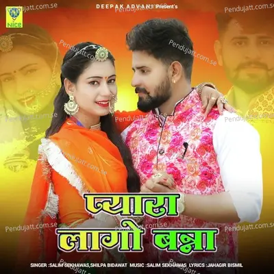 Pyara Lago Banna - Salim Shekhawas album cover 