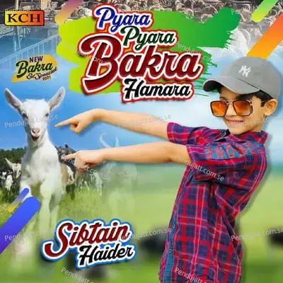 Pyara Pyara Bakra Hamara - Sibtain Haider album cover 
