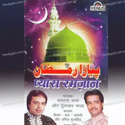 Badal Ke Jharokhe Mein - Altaf Raja album cover 