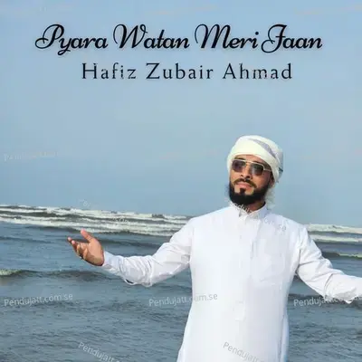 Pyara Watan Meri Jaan - Hafiz Zubair Ahmad album cover 