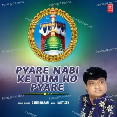 Pyare Nabi Ke Tum Ho Pyare - Zahid Nazan album cover 