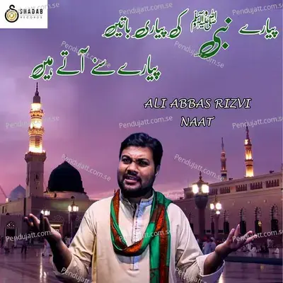 Pyare Nabi Ki Batein - Ali Abbas Rizvi album cover 