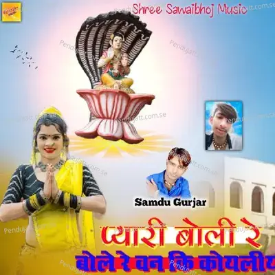 Pyari Boli Re Bole Re Van Ki Koyaladi - Samdu Gurjar