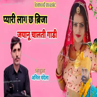 Pyari Lage Che Birja Jyanu Chalti Gadi - Anil Chandela album cover 