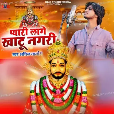 Pyari Lage Khatu Nagari - Anil Nagori album cover 