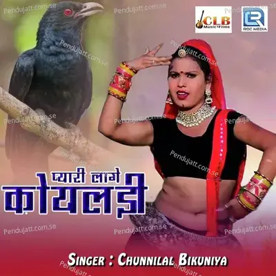 Pyari Lage Koyaldi - Chunnilal Bikuniya album cover 