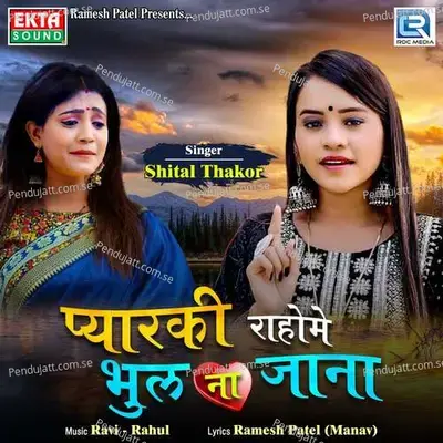 Pyarki Raahome Bhul Na Jana - Shital Thakor album cover 