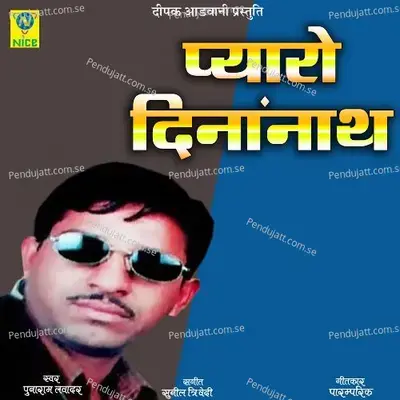 Pyaro Dinanath - Punaram Lavadar album cover 