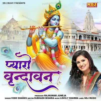 Pyaro Vrindavan - Vidhi Sharma album cover 