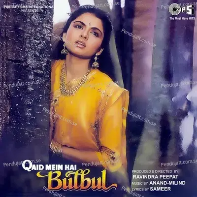 Hum Toh Hai Love Birds - Alka Yagnik album cover 