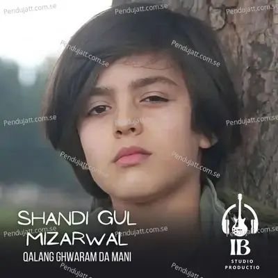 Qalang Ghwaram Da Mani - Shandi Gul Mizarwal album cover 