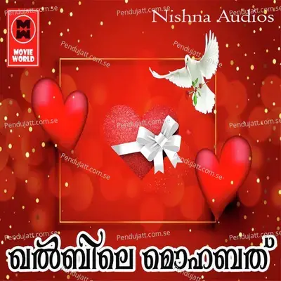 Perunal Mutham - Nisar Vadakara album cover 