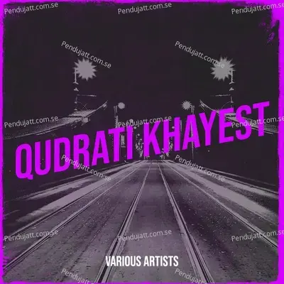 Qudrati Khayest Lare - Raees Bacha album cover 