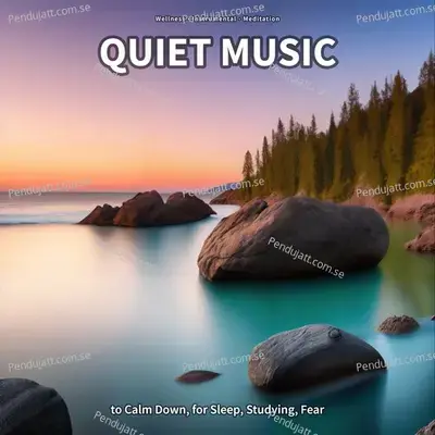 Relaxing Music To Help You Sleep - Wellness album cover 