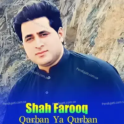 Qurban Ya Qurban - Shah Farooq album cover 