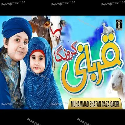 Qurbani Karunga - Muhammad Shafan Raza Qadri album cover 