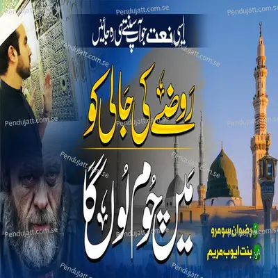 Raah E Ulfat Mien - Rizwan Soomro album cover 