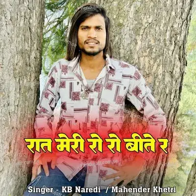 Raat Meri Ro Ro Bitte Re - KB Naredi album cover 