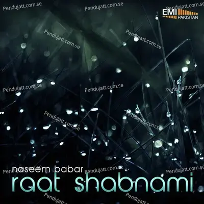 Raat Shabnami - Naseem Babar cover album